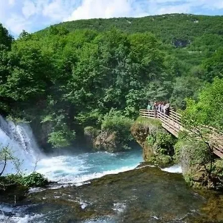 Nadja&dani アパート