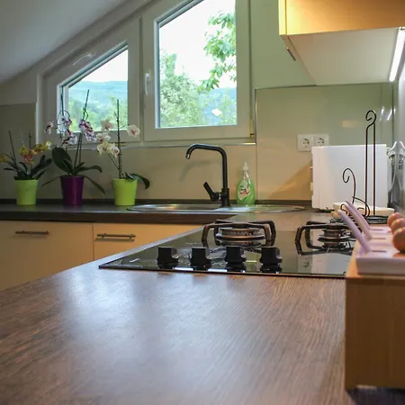 アパート Nadja&dani クレン・ヴァクフ