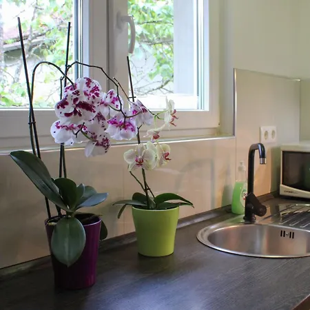 Nadja&dani アパート *