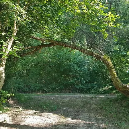 Nadja&dani * クレン・ヴァクフ